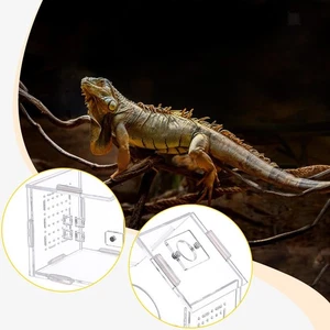 Reptile Feeding Box Critter Keeper for Bearded Dragon Treefrog Scorpion - Picture 1 of 7