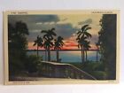 Eventide Palm Beach Florida Plam Trees Vintage Postcard Unposted