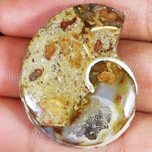 84.25 Cts 100% Natural Fossil Snail Druzy Fancy Shape 31x38x8 mm Gemstone Ce-753 - Picture 1 of 6