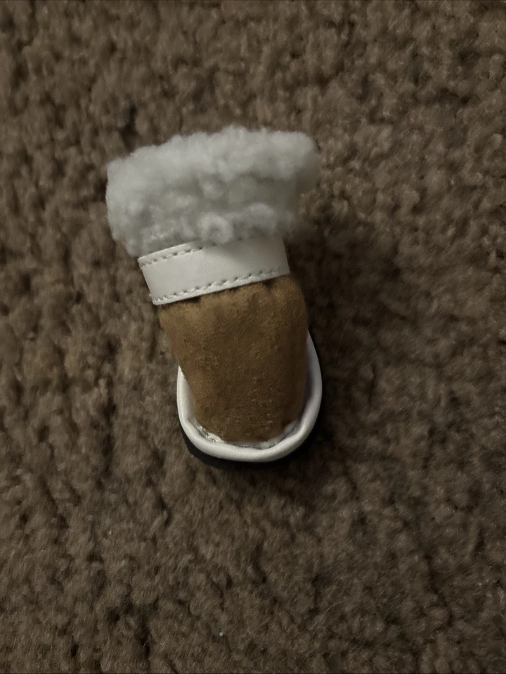 XS Simply Zapatos para Perro Marrón con Piel Marrón Negro Suelas Conjunto De 4 Nuevos Con Etiquetas Foto 1 de 2