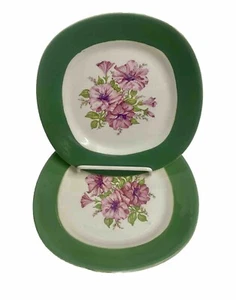 Taylor Smith Taylor Conversation PETUNIA Pattern (2) Bread & Butter Plate 6 1/4" - Picture 1 of 4