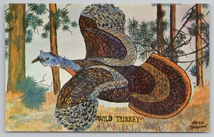 Pintura de pavo salvaje de Nyla Thompson postal de la década de 1960 - Imagen 1 de 2