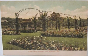 Hartford, Conn - Rose Garden, Elizabeth Park- unposted - Picture 1 of 2
