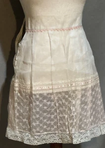 Delantal bordado de organza transparente vintage con lazo trasero y bolsillo ribete de encaje - Imagen 1 de 10