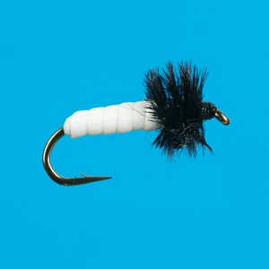 KB's Cream Pupa, 6 pcs. size 16 - (CLOSEOUT) - Picture 1 of 1