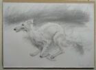 Original Dog Drawing. Pencil Sketch.
