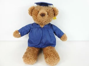 Hallmark Plush Graduation Bravo Bear Money Presenter w/ Cap & Gown 14'' - Picture 1 of 7