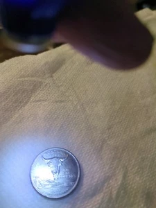 2007 D - Montana Statehood Quarter Dollar Coin - Picture 1 of 12