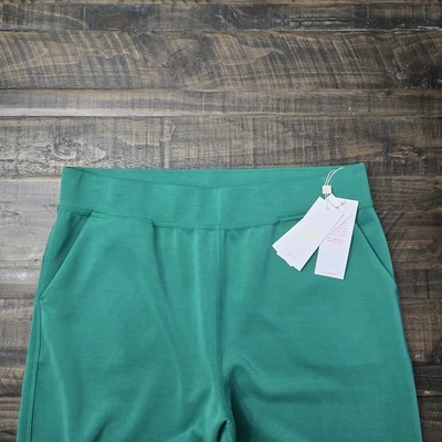 Lilly Pulitzer Alwyn 50+ UPF Pants 31" Fiddle Leaf Green Large - Image 1 of 4