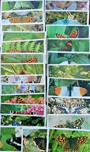Players Grandee BRITISH BUTTERFLIES (1983)  INCOMPLETE  26 of 32 original cards