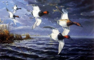 Terry Doughty "Ahead of the Storm" Canvasback Duck Art Print 24" x 16" - Picture 1 of 1