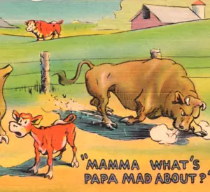 Uh oh, alguien engañado! Postal de vacas ternero celoso toro enojado granja humor c1940 - Imagen 1 de 4