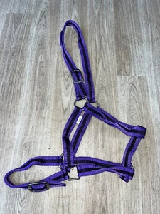 Nylon Stripe Headcollar Size Full Purple/ Black (D) - Picture 1 of 3