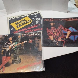 3 Vintage Rick James 33 Rpm Vinyl Records - Picture 1 of 10