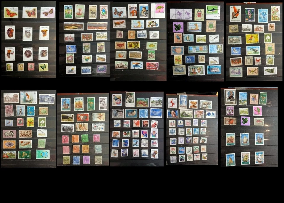 Africa Mozambique SA  Maldives Senegal Tanzania Kenya Guinee Ghana & The US - Image 1 of 1