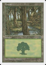 Forest (Portal Second Age) | MtG Magic Anthologies | English | Near Mint