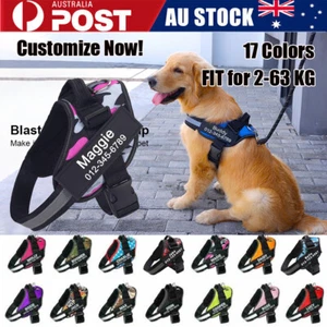 Personalized No Pull Dog Harness with Custom Name Phone Number Patch Reflective - Picture 1 of 37
