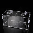 Hatchinals Fischtank Zuchtbox - transparenter Inkubator