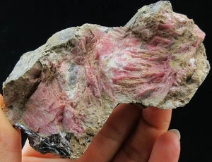 203g GEM  Rhodonite crystals mineral specimen - Picture 1 of 4