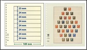 10 LINDNER 802800 T-Blanko-Blätter Blankoblätter 8x 1x25/7x 24 x 189mm
