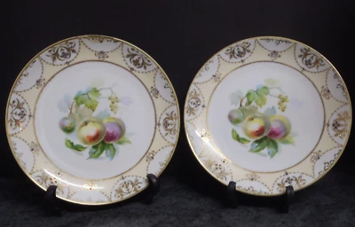 Noritake Pair of Fruit Decorated Plates - Raised gilt decoration - image 1 of 4