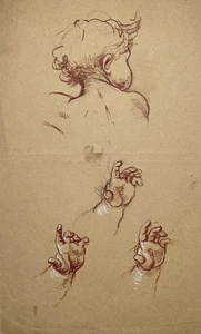 Hermann Schneider - Niño Bebé - Studie Studien V. Cabeza V. Manos Dibujo 1900 - Bild 1 von 1