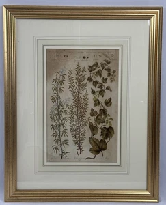 John Hill - The Vegetable System-Copper Plate Engraving Hand Coloring C. 1759 - Bild 1 von 11