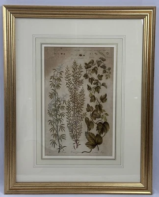 John Hill - The Vegetable System-Copper Plate Engraving Hand Coloring  C. 1759 - Image 1 of 4