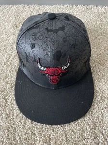 Chicago Bulls Hat Artist Series BMO Harris Snapback Black 2018/19 - Picture 1 of 8
