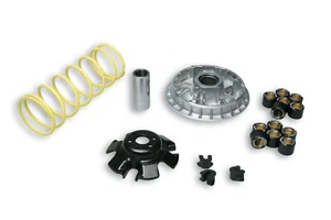 VARIATORE MULTIVAR 2000 MALOSSI PER HONDA ADV FORZA SH PCX IE 125 COD. 5115652 - Imagen 1 de 1