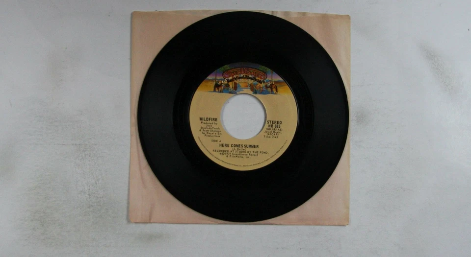 Wildfire Here Comes Summer / Weekend Love US 7inch Vinyl Single 1977 Mainstream - Bild 1 von 1