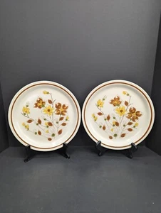 Camelot Stoneware Country Charm 10 3/4 Inch Dinner Plate Lot of 2 - Picture 1 of 7