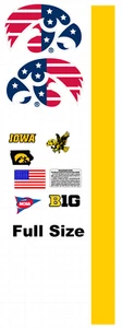 IOWA HAWKEYES Football Helmet Decals Full Size 8 Mil Convex Gear Wrap - Picture 1 of 1