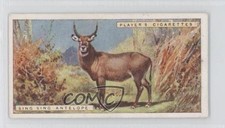 1924 Player's Natural History Tobacco Sing-Sing Antelope or Water #5 0a1