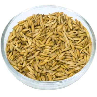 Leimüller Bio Hafer 20 kg für Pferde Futterhafer - Bild 1 von 3