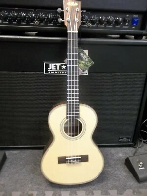 Kala KA-SSEBY-T acoustic Tenor, padded gigabag Fast free secure shipping - Image 1 of 4