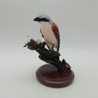 The Country Bird Collection by Eaglemoss - The Red-backed Shrike