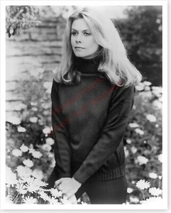 Foto publicitaria de haluro plateado de la actriz Elizabeth Montgomery - Imagen 1 de 1