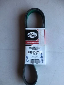 Gates K060509HD Serpentine Belt Heavy Duty Micro-V Belt For 2006-2007 Ford F650 - Foto 1 di 1
