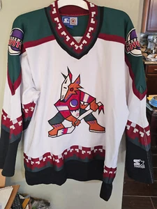 PHOENIX COYOTES NATIONAL HOCKEY LEAGUE NHL JERSEY SIZE LARGE ADULT - Picture 1 of 7