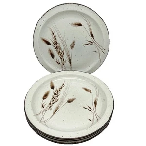 Set di 4 piatti Stonehenge Midwinter Wild Oats 10,25 pollici - Foto 1 di 7