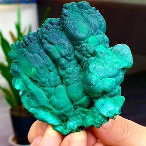302G Natürlicher SAMT Malachit Katzenauge Präparat Kristall Roh Mineral - Kongo - Bild 1 von 16