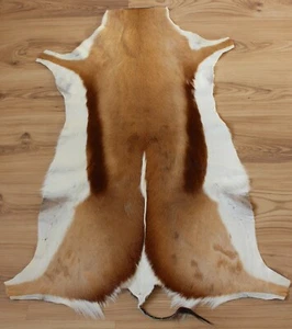 Springbockfell XXL Tierfell geruchsneutral, weich gegerbt aus Südafrika #266-4 - Bild 1 von 1