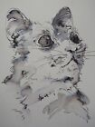 Original pen & ink wash drawing of a cat head 3/4 view on watercolour paper