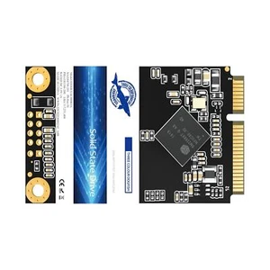 Dogfish 512 GB Zoll mSATA SSDMCEAC060B3A SSD SSM   #334028 - Afbeelding 1 van 1