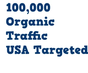 100,000 Real USA Organic TRAFFIC from Search Engine Referrals & 6 Keywords - Picture 1 of 5