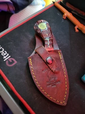 Faca de evisceramento  - Imagem 1 de 3