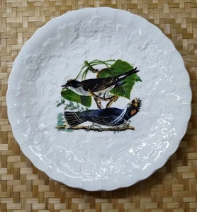 PLATO DE COLECCIÓN AVES DE AMÉRICA Alfred Meakin INGLATERRA 5.5" MCM Decorativo  - Imagen 1 de 4