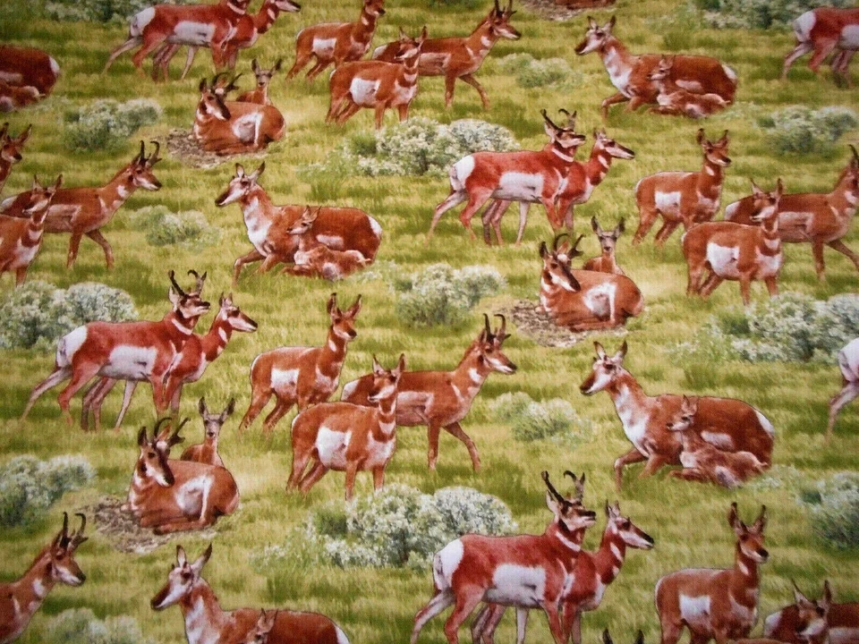 Tela de edredón por yarda ciervo en verde pasto prado Elizabeths estudio algodón C Foto 1 de 2