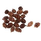 50 Pieces Small   Cones for Christmas Ornaments Decoration